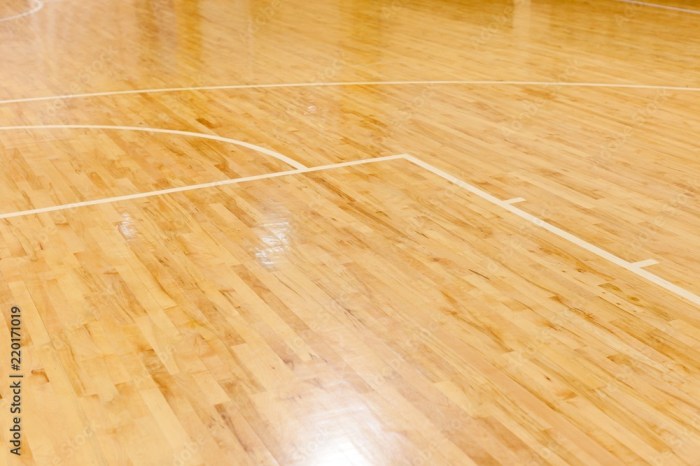 Indoor Basketball Court Flooring | Basketball Flooring | Tarkett Sports ... Indoor Basketball Court Flooring | Basketball Flooring | Tarkett Sports ...