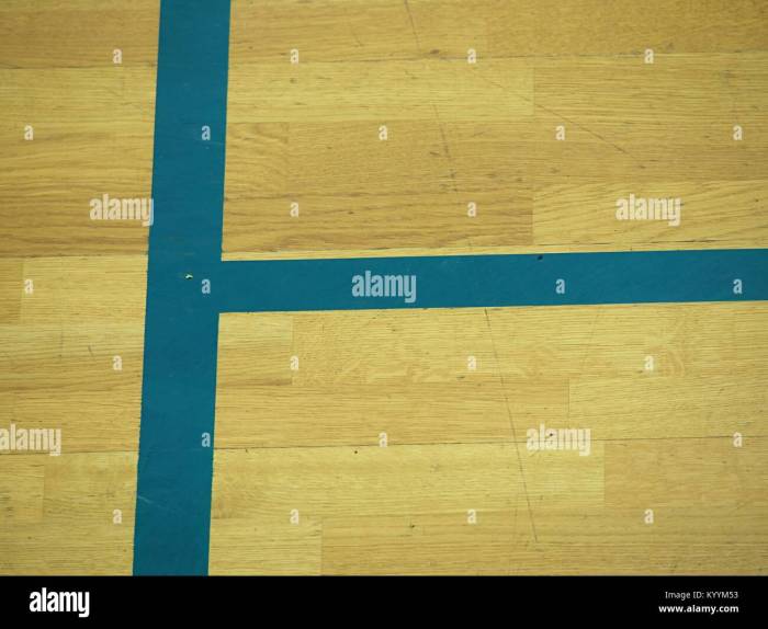 The Latest Trends in Basketball Court Flooring | by Lushsurfacoats ...