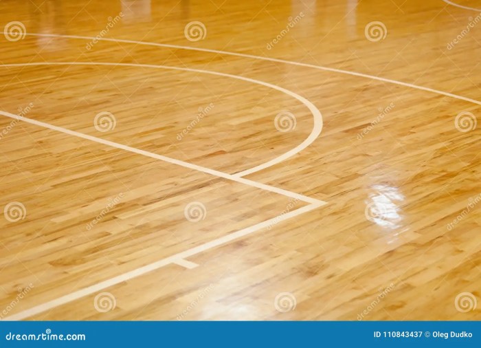 Hardwood Basketball Court Features - Avind
