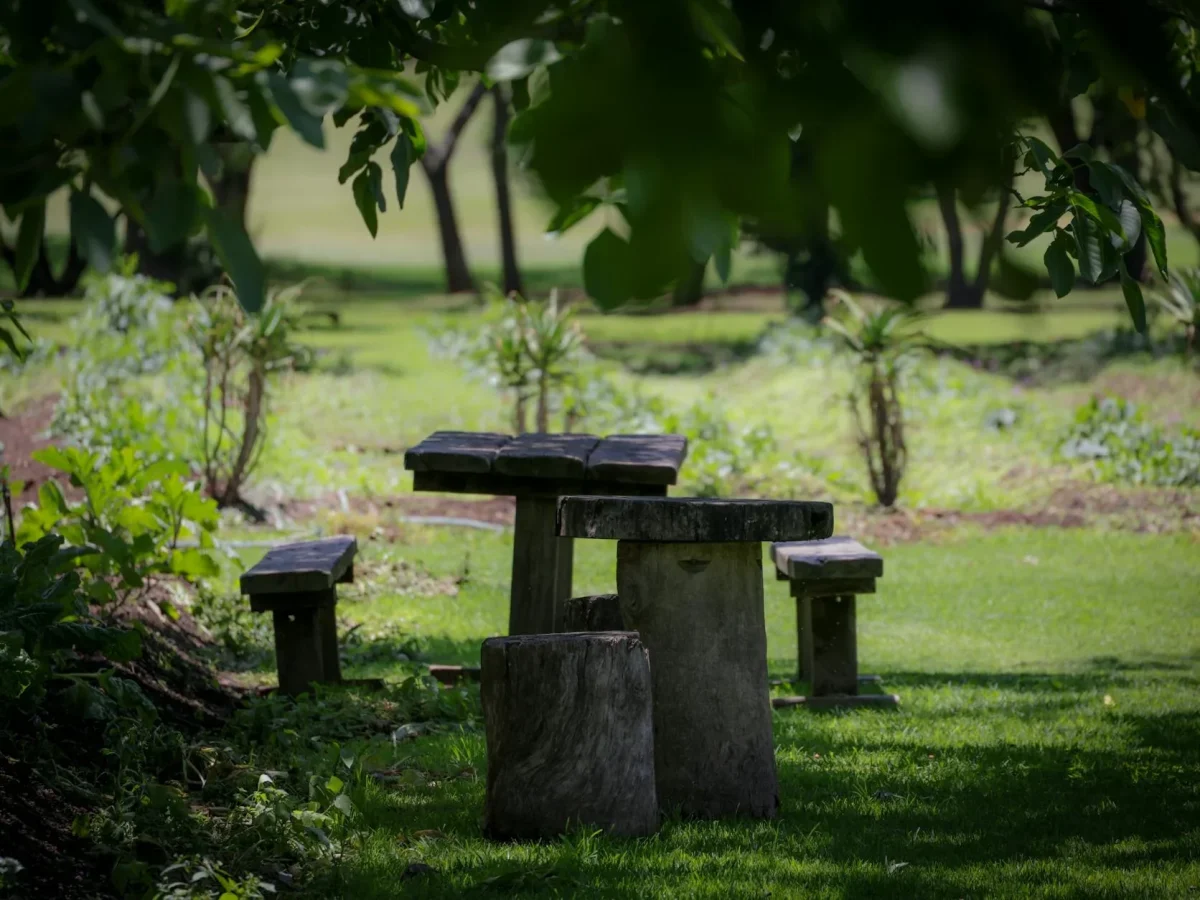 Acacia Wood Natural Wood Table