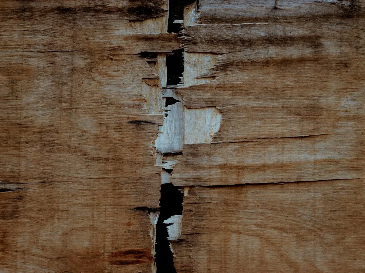 Broken Wood Wrong Choice