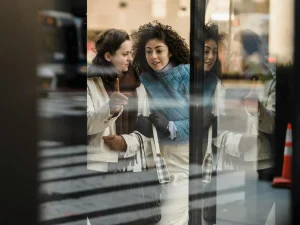 Choosing Windows Window Shopping
