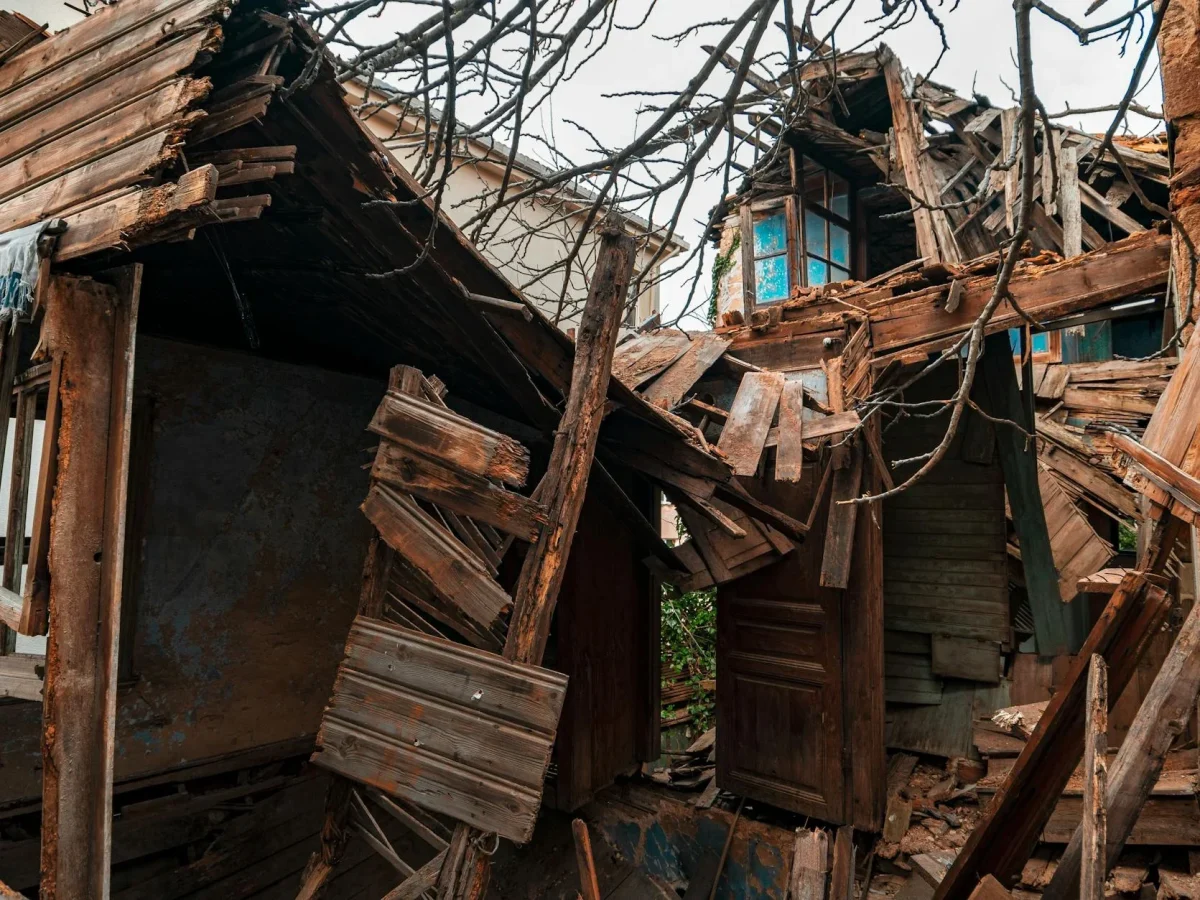 Earthquake Resistant House Wooden House Safe Home