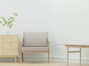Elegant Furniture Modern Interior