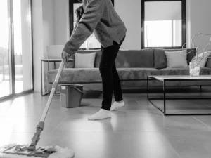 Floor Cleaning Parquet Maintenance