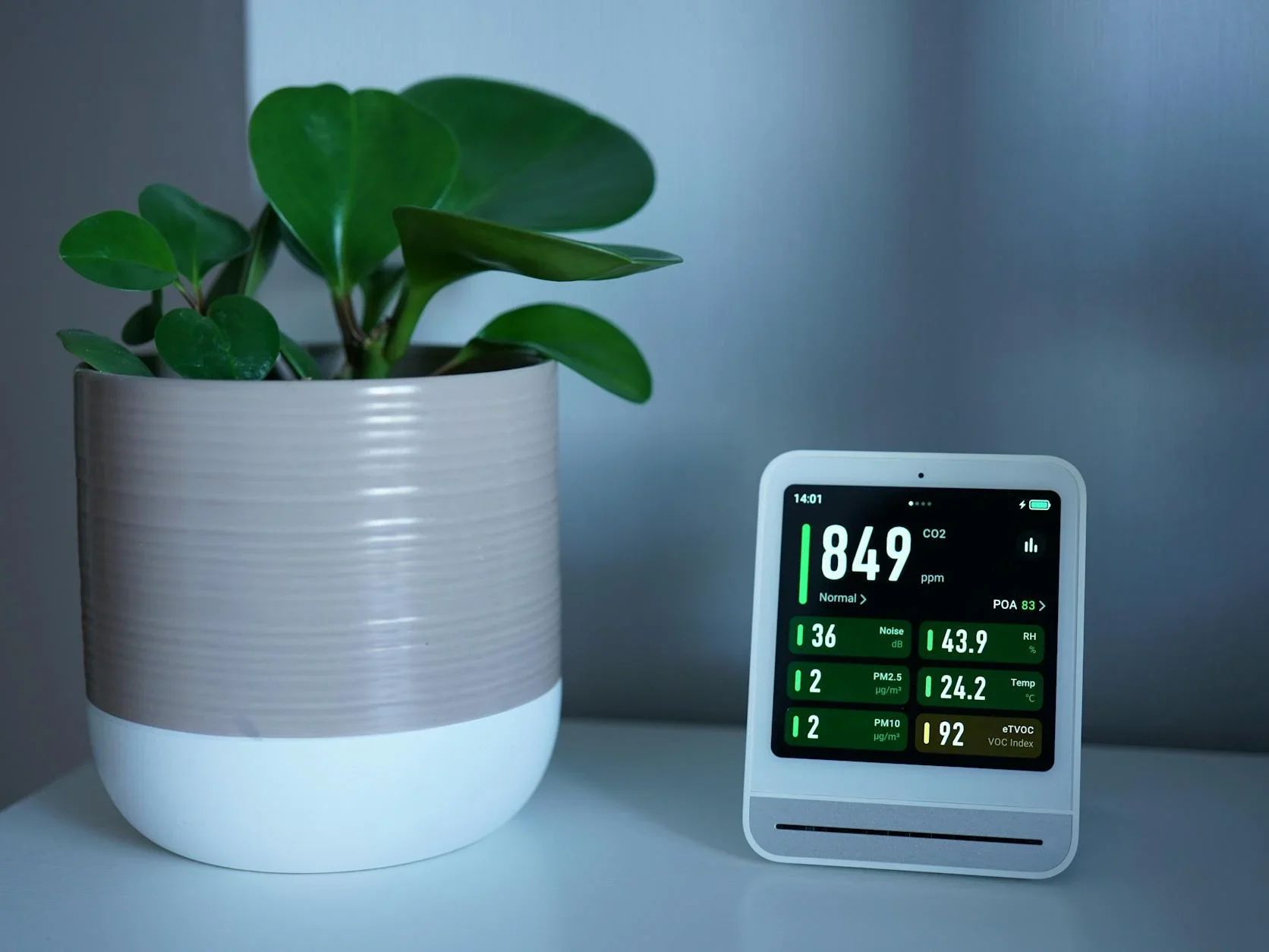 Fresh Air Healthy Home Clean Air