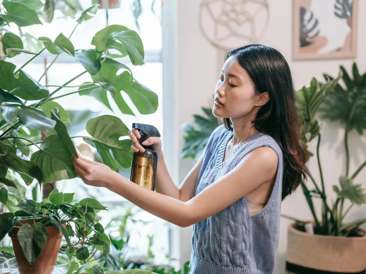 Humidity Control Humidifier