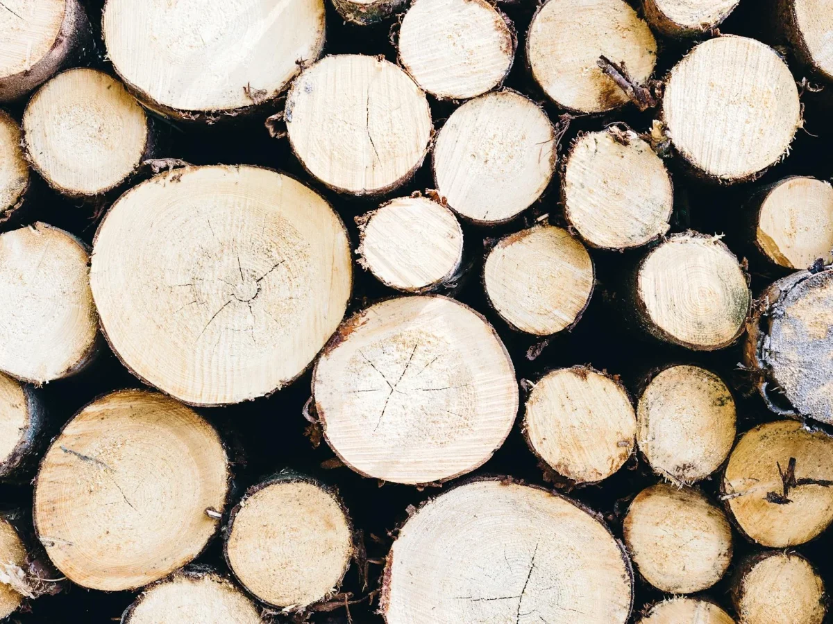 Meranti Wood Kamper Wood Jati Wood