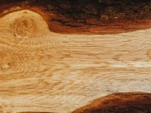 Meranti Wood Kapur Wood