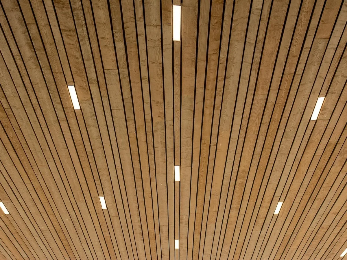 Modern Ceiling Styles Wood Paneling