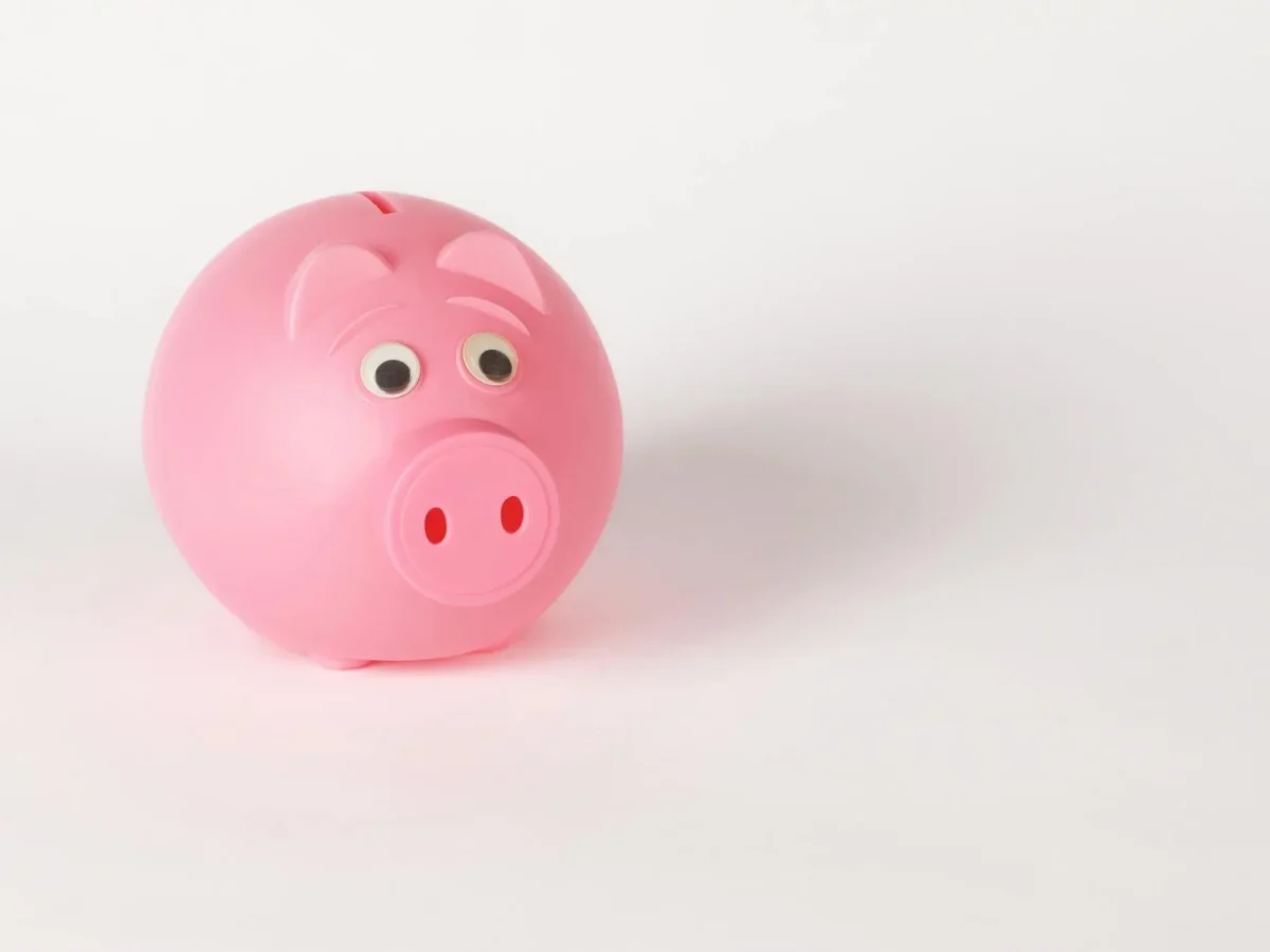 Money Saving Piggy Bank