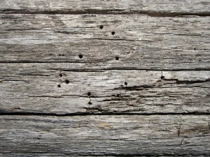 Outdoor Wood Indoor Wood