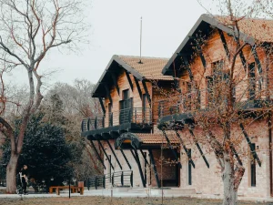 Pros Cons Wooden House