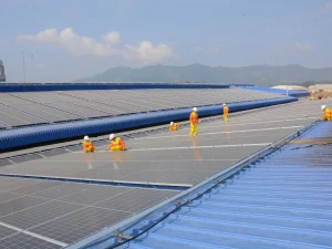 Roof Installation Wood Maintenance