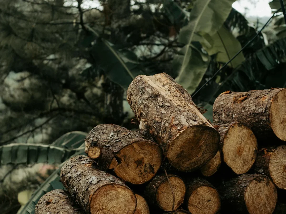 SNI Wood Indonesian Standards Timber Certification