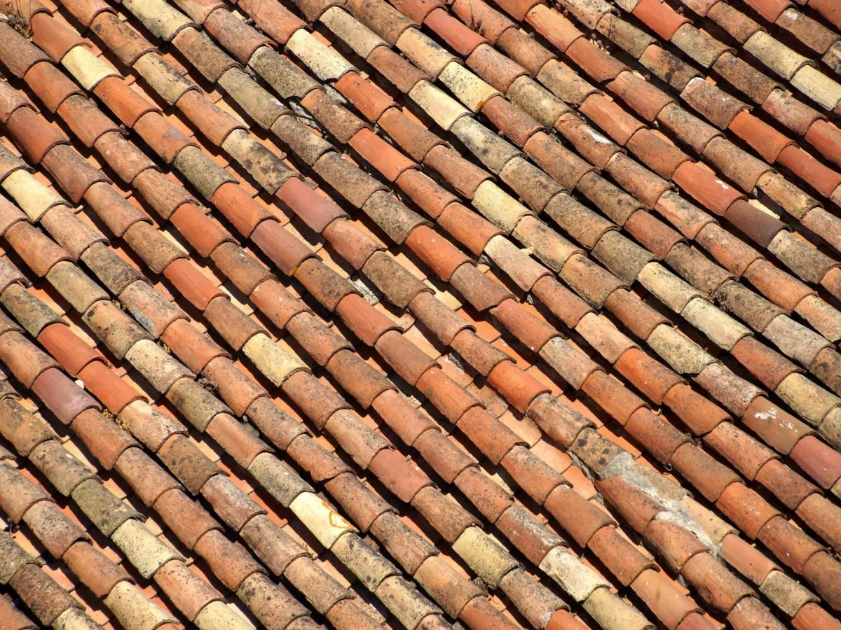Strong Wooden Roof Durable Timber Weather Resistant