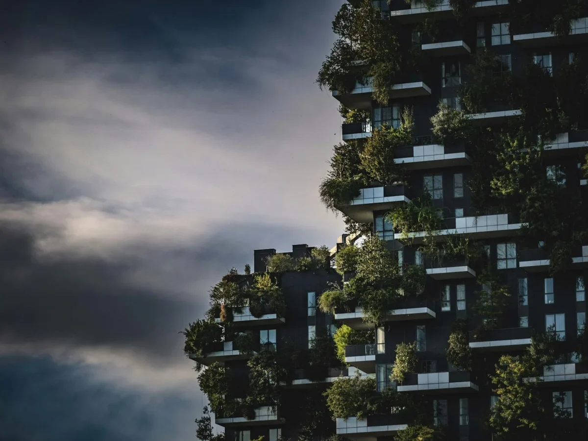 Sustainable Forest Green Building