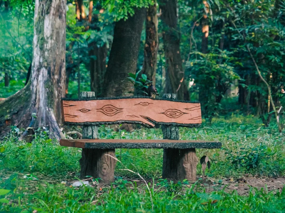 Sustainable Wood Eco Friendly Furniture Green Forest
