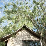 Sustainable Wood Eco Friendly House