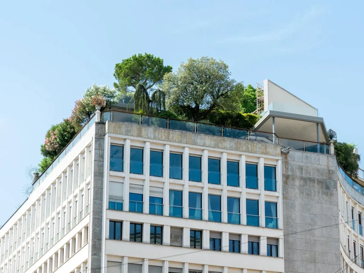 Sustainable Wood Green Building