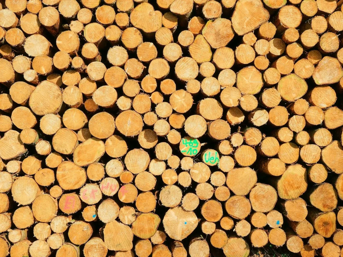 Teak Wood Selection Wood Quality Raw Materials