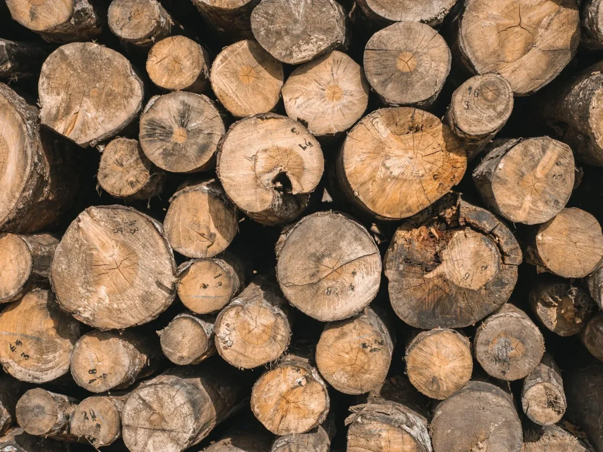 Timber Challenges Wood Solutions Sustainable Building