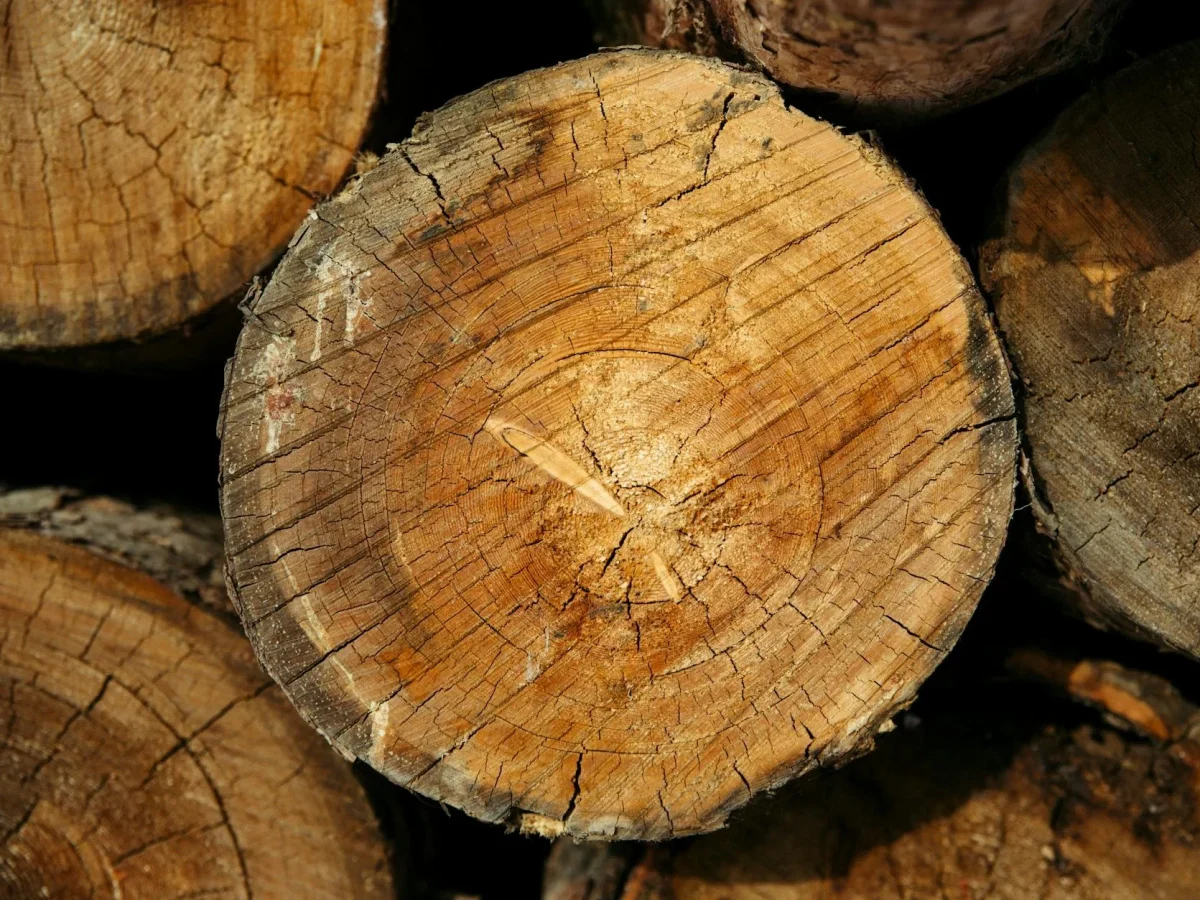 Timber Types Hardwood Softwood
