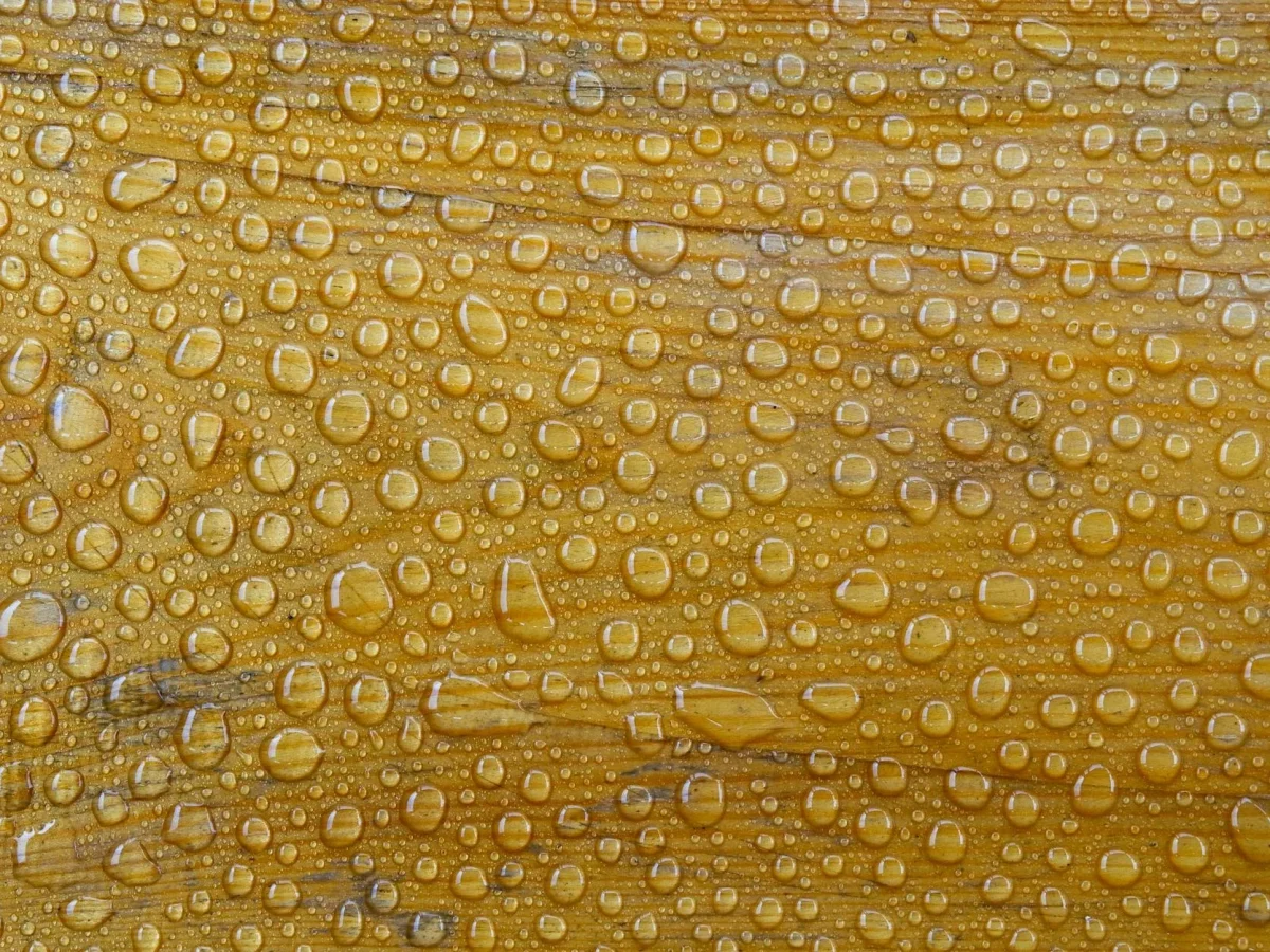 Wood Cleaning Durable Wood