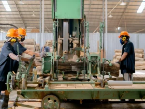 Wood Cutting Wood Processing