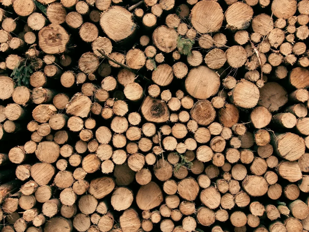 Wood Grain Timber Stack