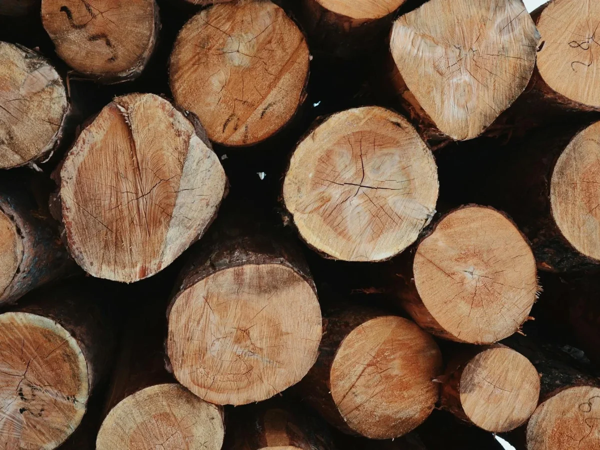 Wood Hardener Wood Filler