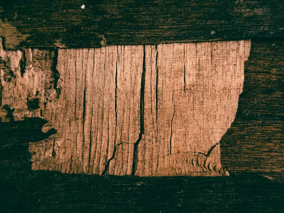 Wood Inspection Damaged Wood