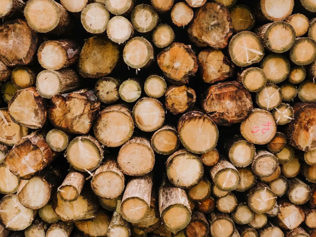 Wood Investment Durable Wood