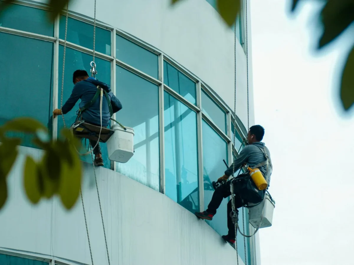 Wood Maintenance Window Care