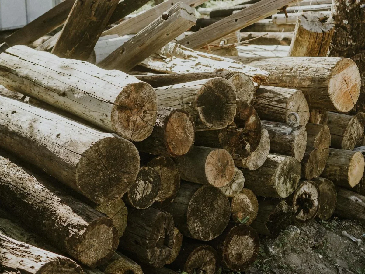 Wood Material Timber Construction