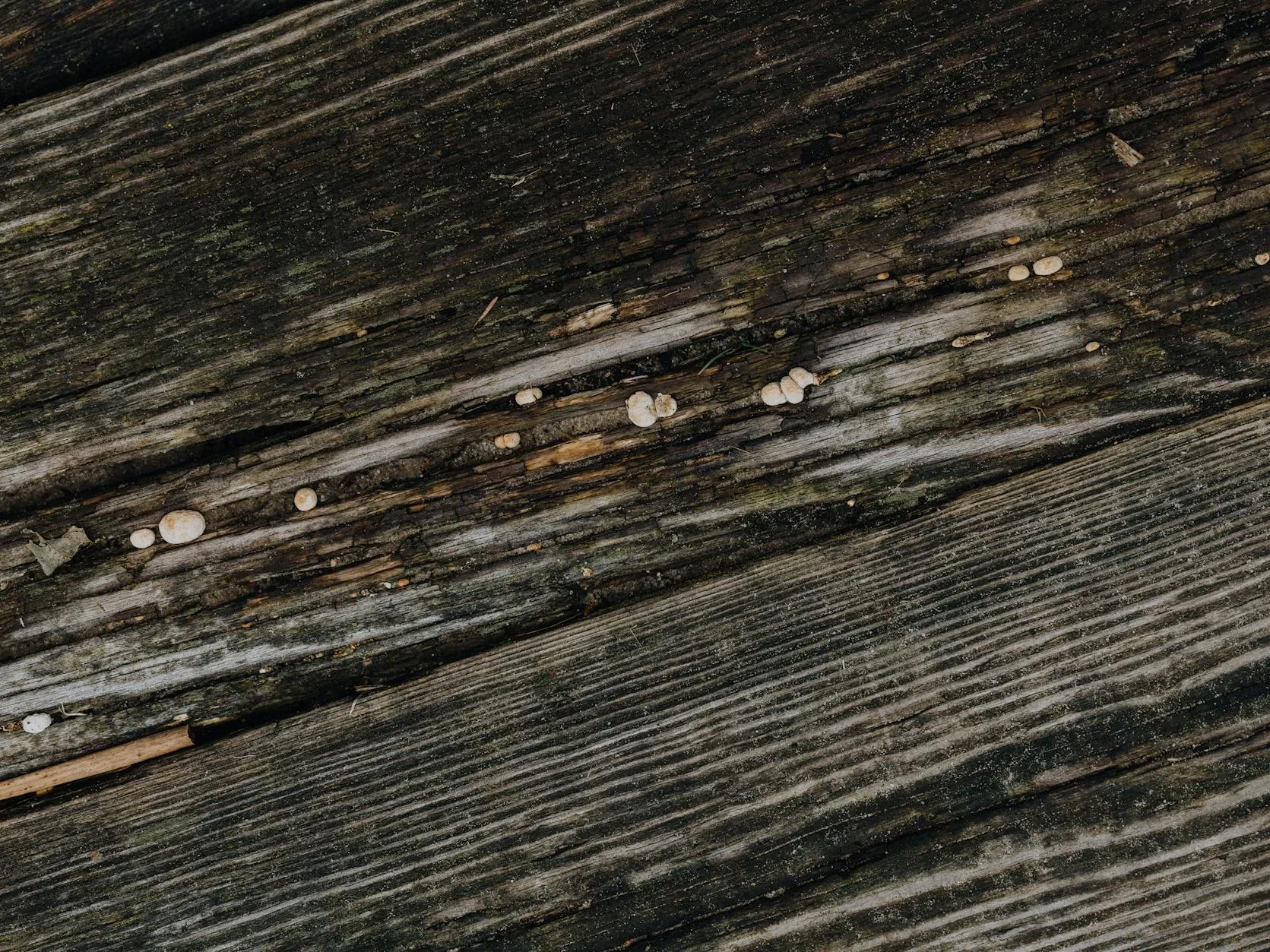 Wood Planks Floor Layers