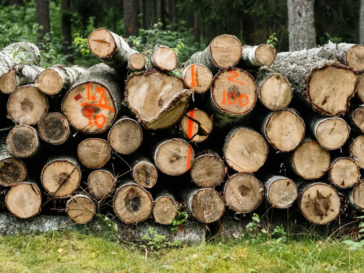 Wood Price Price Comparison