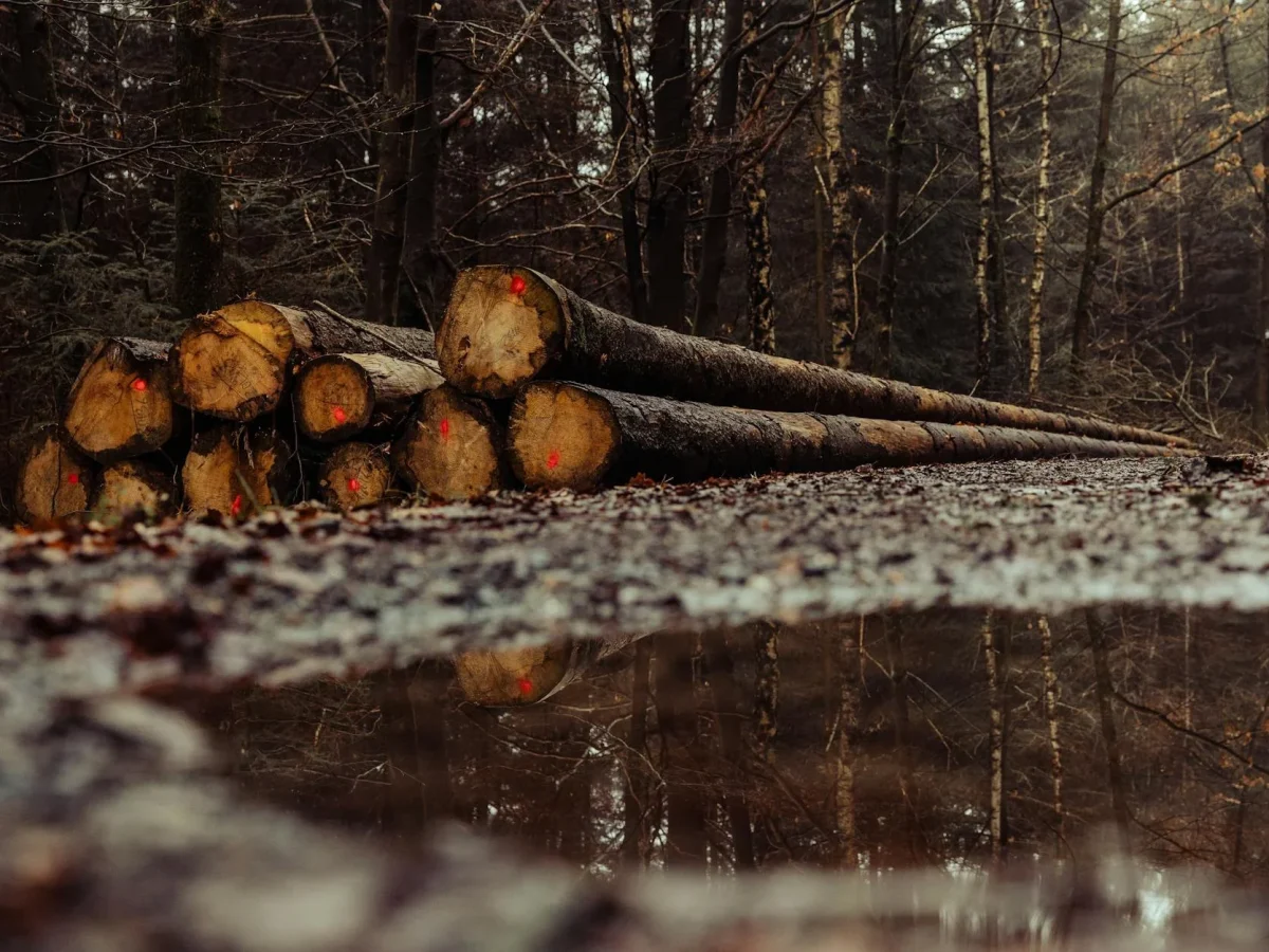 Wood Protection Moisture Control