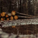 Wood Protection Moisture Control