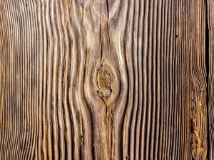 Wood Selection Timber Characteristics