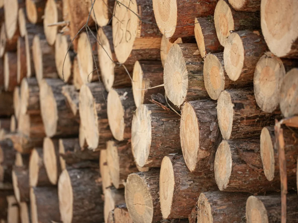 Wood Selection Timber Quality
