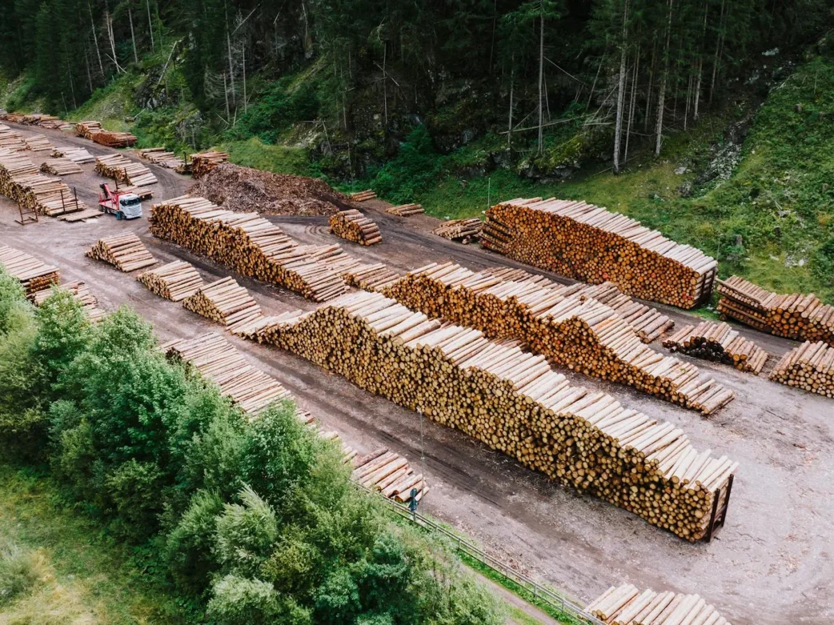 Wood Supplier Timber Certification Ethical Sourcing