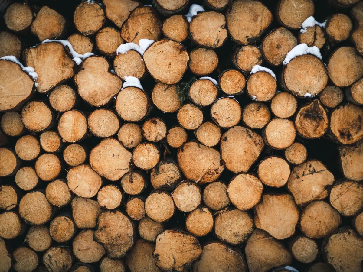 Wood Types Timber Prices