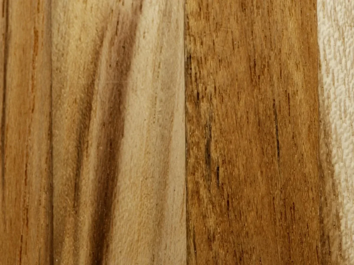 Wood Types Timber Samples