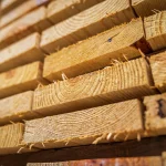 Wood Types Timber Samples