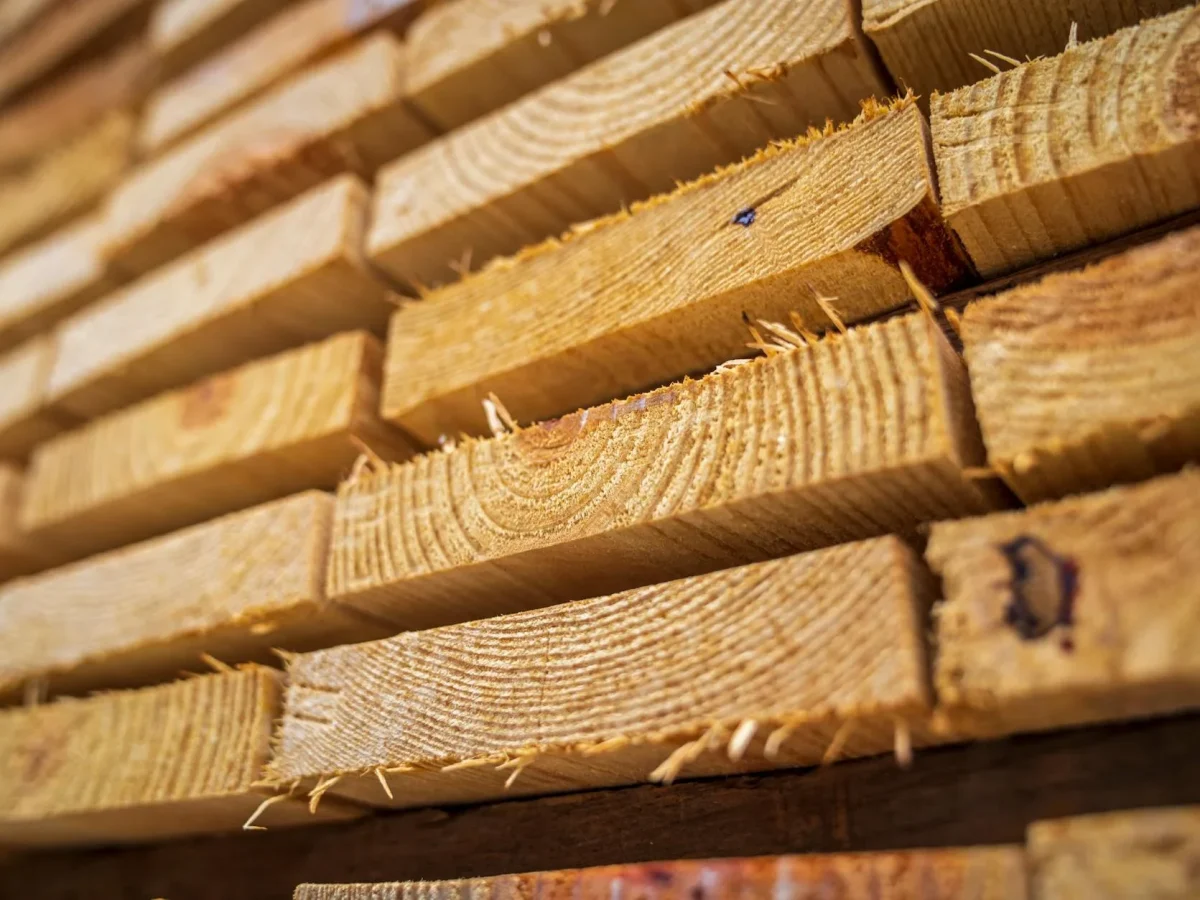 Wood Types Timber Samples