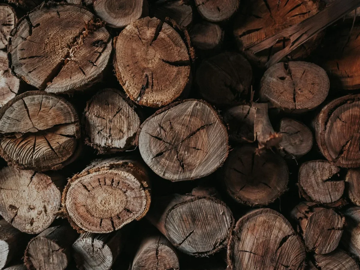 Wood Types Timber Samples Lumber