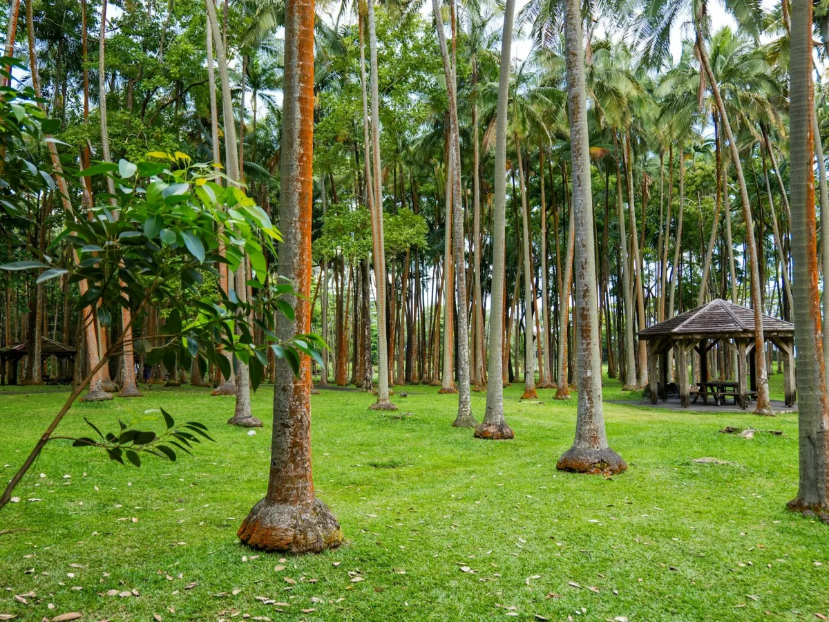 Wooden Gazebo Teak Wood Minimalist Garden