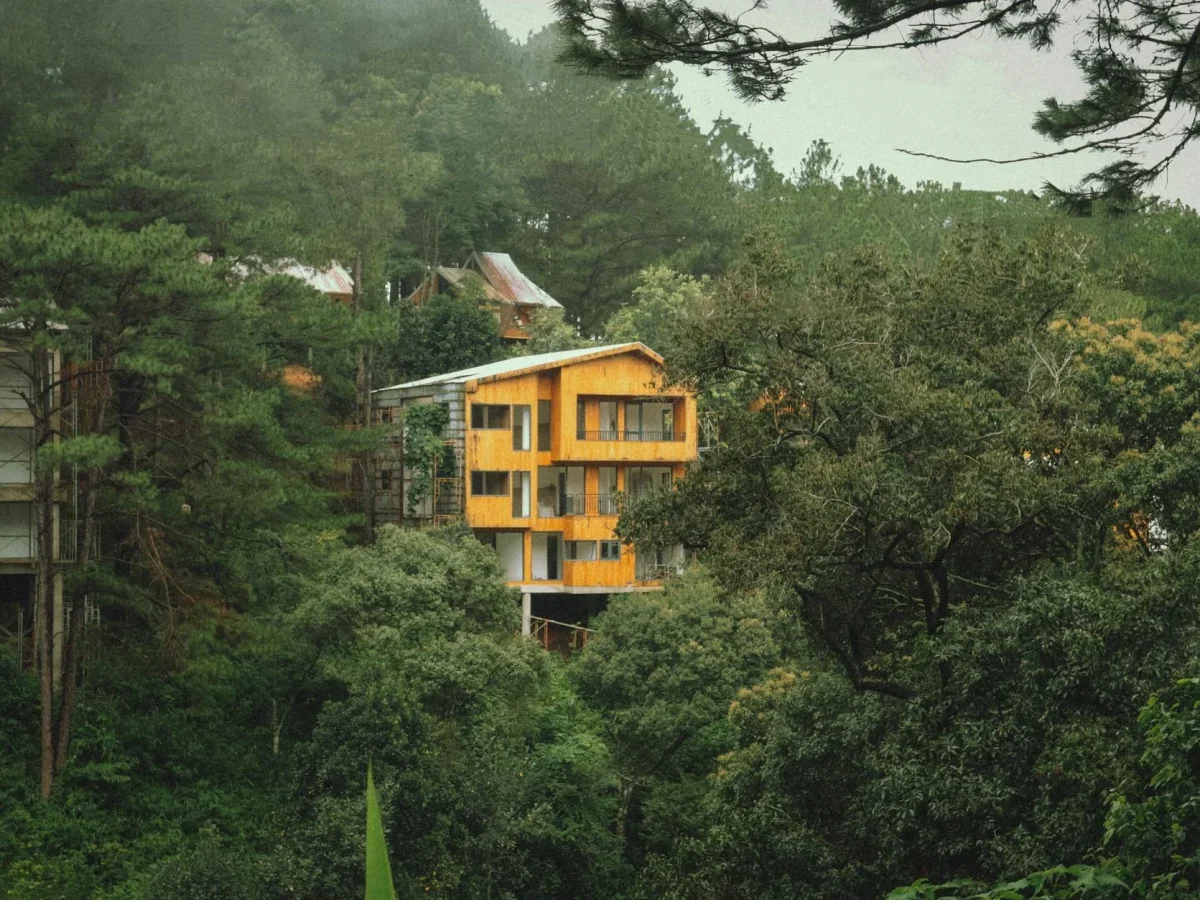 Wooden House Forest Nature